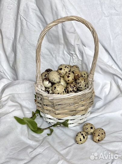 Яйца перепелиные домашние