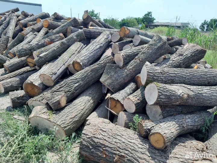Дрова дубовые