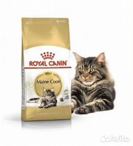 Роял Канин Royal Canin для Мейн кун 13 кг