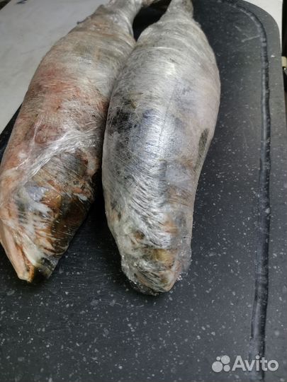 Свежемороженая рыба горбуша