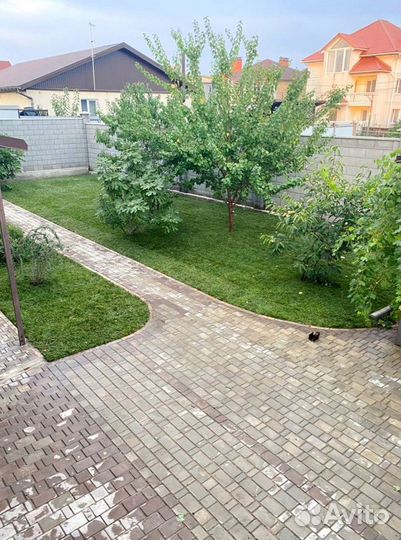 Рулонный газон 