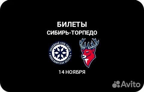 Билеты Сибирь-Торпедо