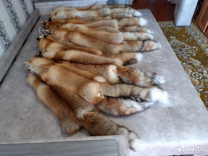 Шкурки лисы