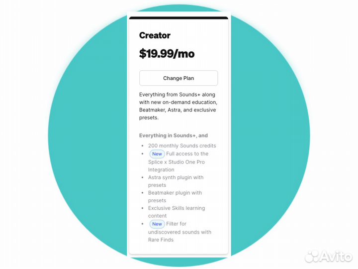 Splice Creator 600 Credits / 3 месяца