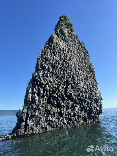 Морские прогулки остров Старичков. Аренда катера