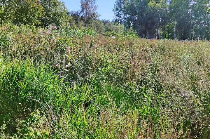 Участок 9,7 сот. (ИЖС)