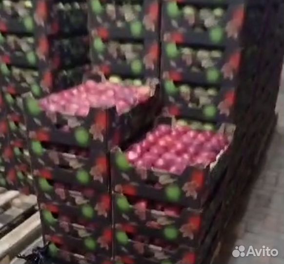 Яблоки оптом. Высшего сорта