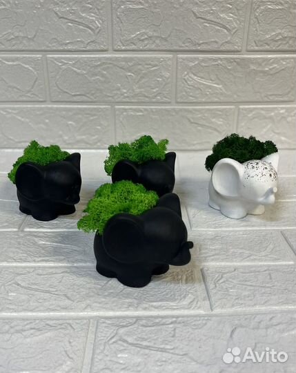 Цветочные композиции