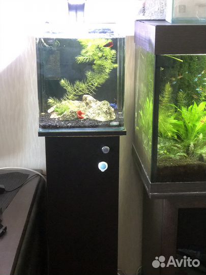 Аквариум