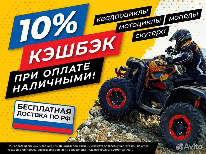 Квадроцикл promax ATV 250 PRO skaut