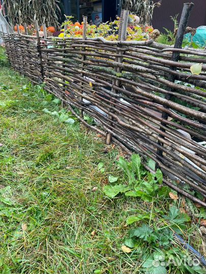 Забор плетеный