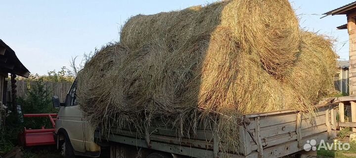 Сено в рулонах