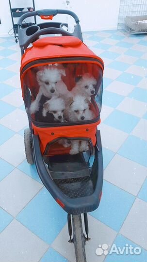 Коляска для собак