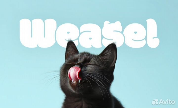 Графический дизайнер