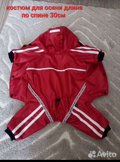 Одежда для собак