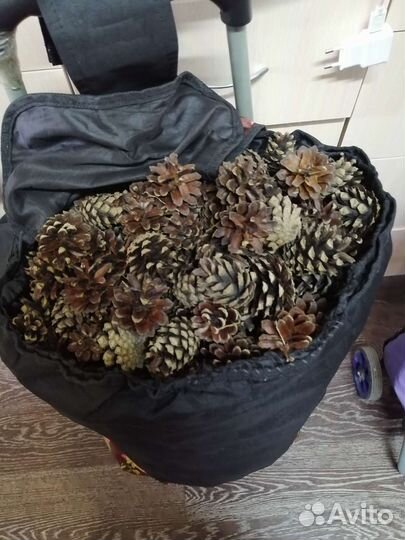 Сосновые шишки для декора