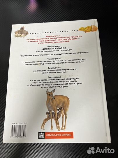 Все обо всем Детеныши животных