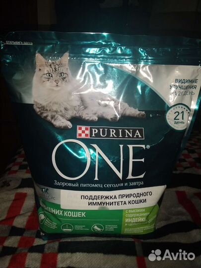 Корм для котов