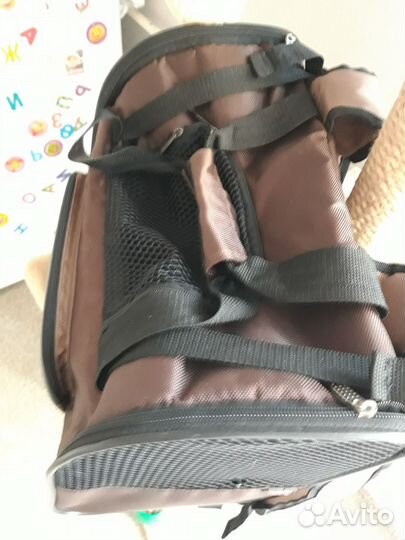 Переноска, рюкзак