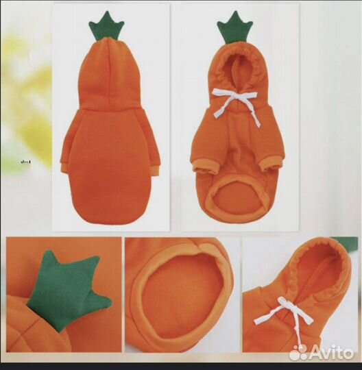 Костюм на собаку