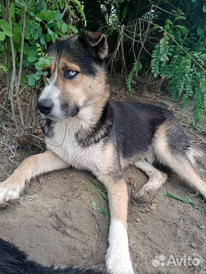 Красавец мальчик