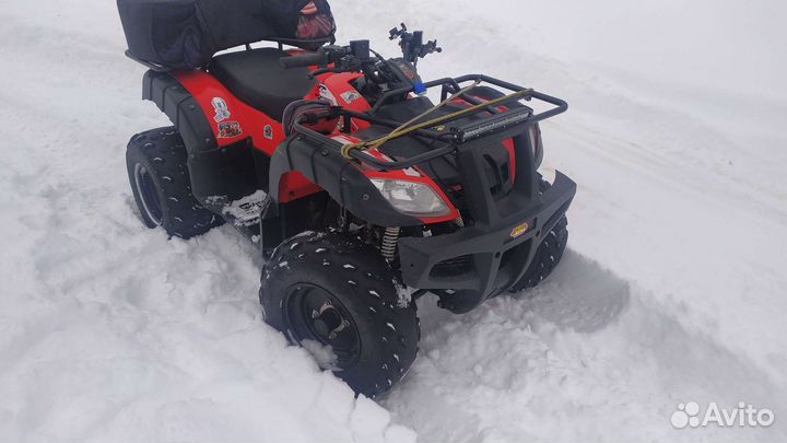 Kayo bull 150