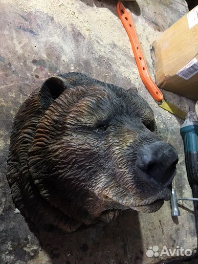 Голова Медведя