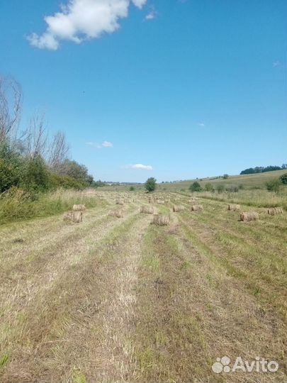 Сено в мини рулонах