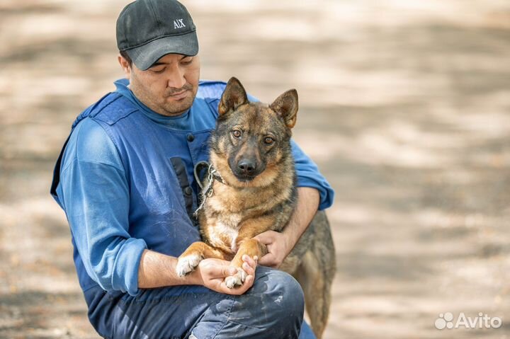 Добрый и преданый Тихон