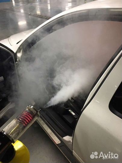 Дезинсекция