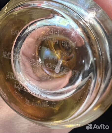 Mancera Hindu Kush,Wild Fruits,Deep Forest