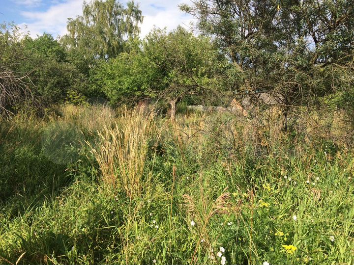 Участок 58 сот. (ИЖС)