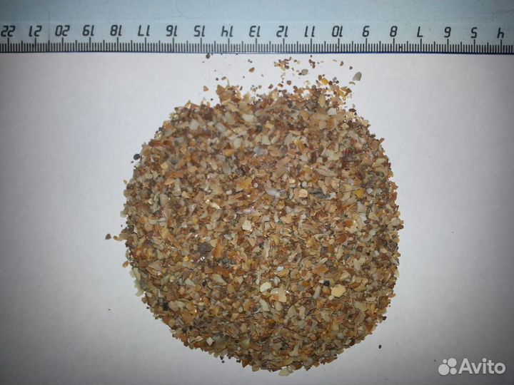 Ракушка кормовая