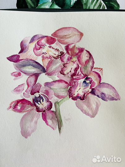 Картина.Орхидея
