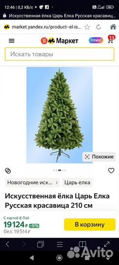 Царь ёлка. Русская красавица