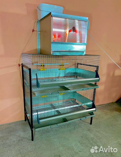 Клетка для бройлеров каркасная с брудером