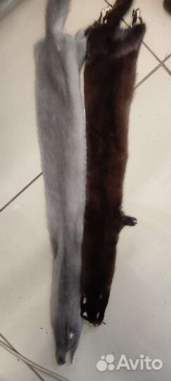 Шкурка животного