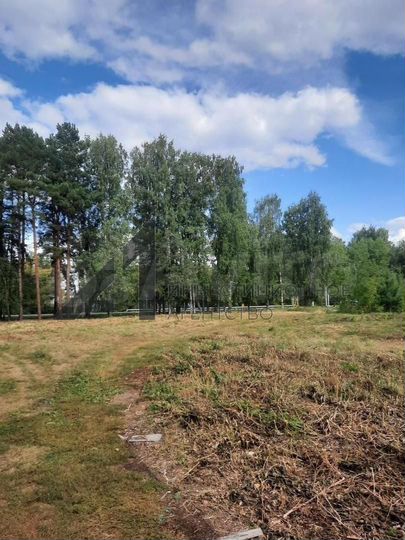 Участок 30 сот. (ИЖС)