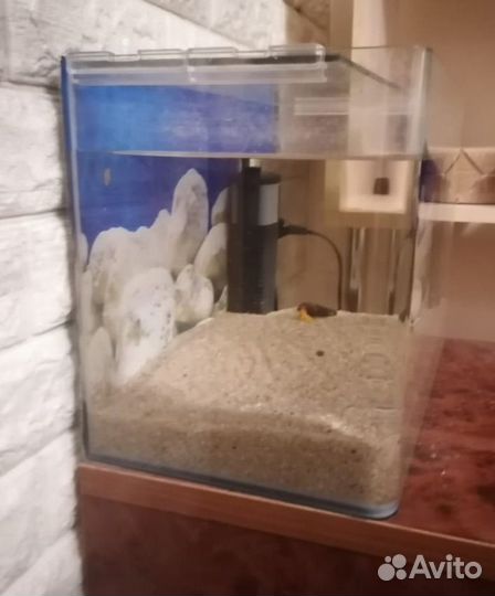 Аквариум