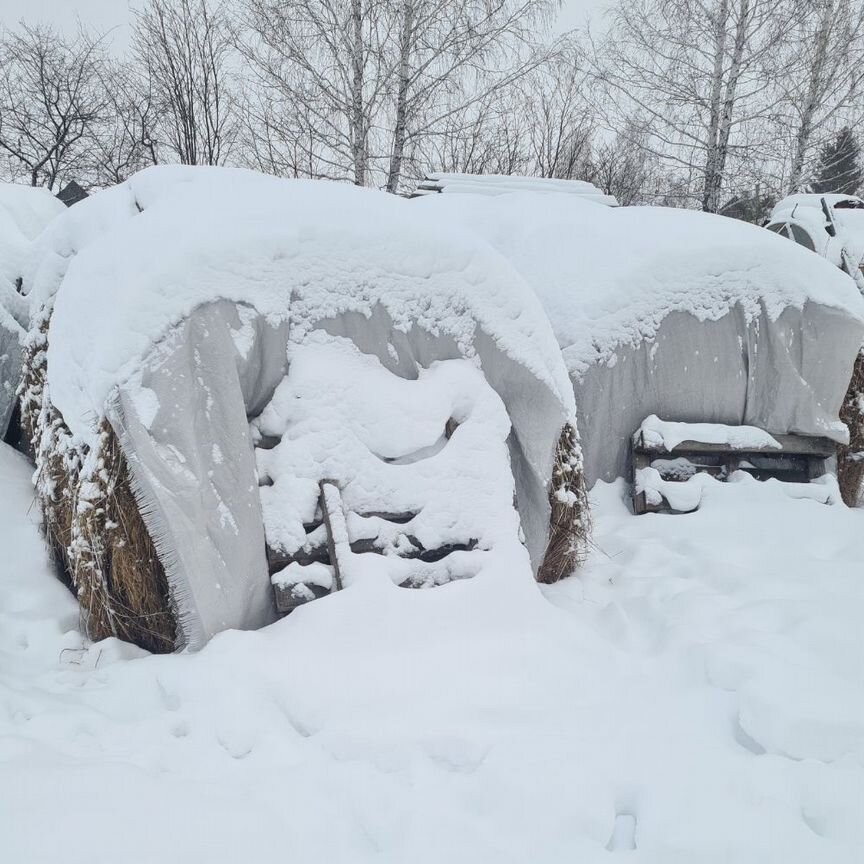 Сено в больших рулонах