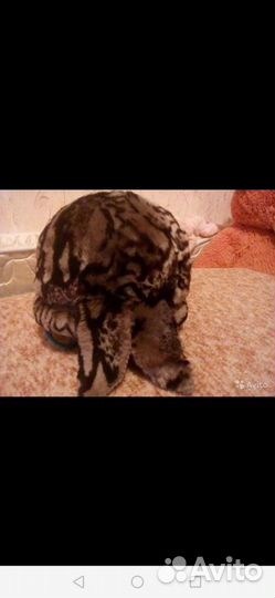 Шапки и кепка
