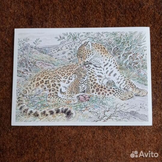 Наборы открыток СССР