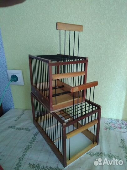 Чижи щеглы певчие птицы