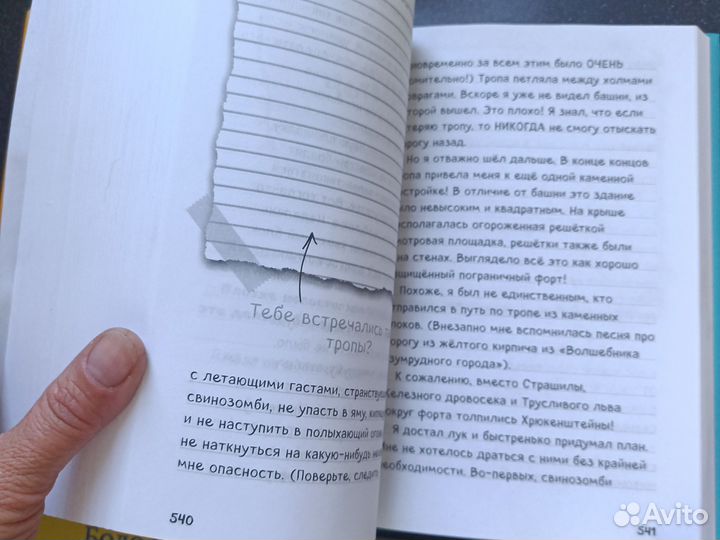 Дневник Стива, майнкрафт, мани