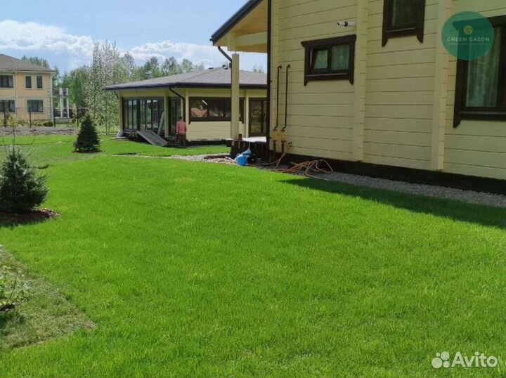 Отличный газон премиум