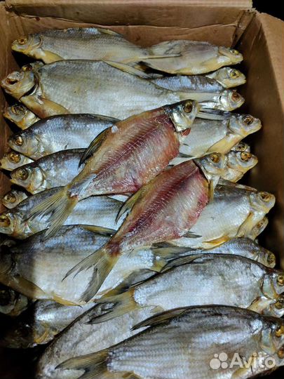 Густера (Тарашка, тарань, бара) вяленая. Средняя