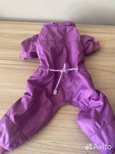 Одежда для собак