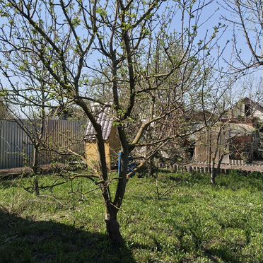 Дача 50 м² на участке 6 сот.