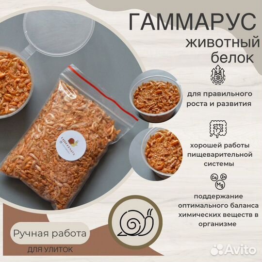 Товары для улиток