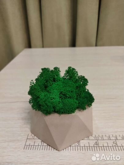 Кашпо из гипса со стабилизированным мхом